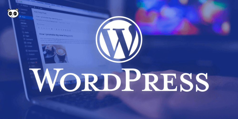 wordpress